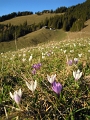Gafadura 1428m 06_04_2011 (66)